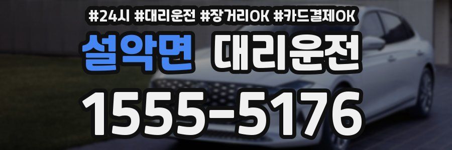 설악면 대리운전