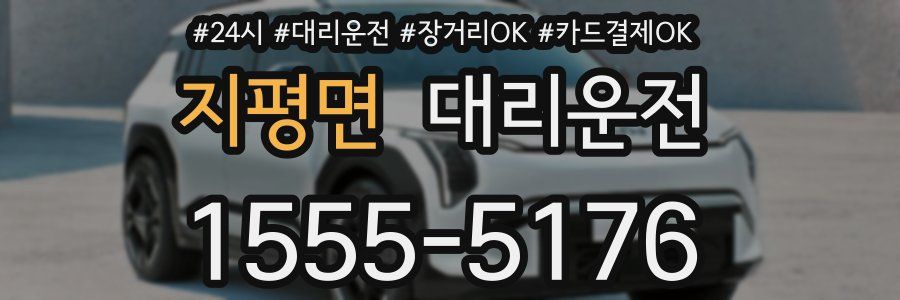 지평면 대리운전