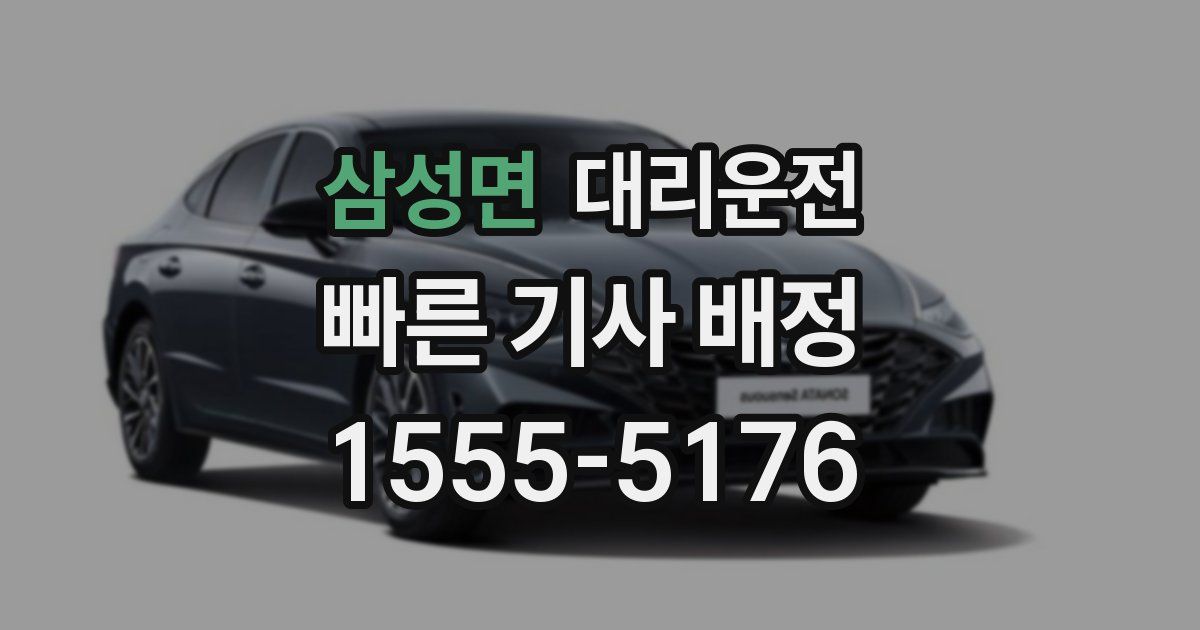 일일대리기사