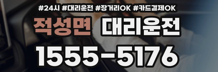 적성면 대리운전