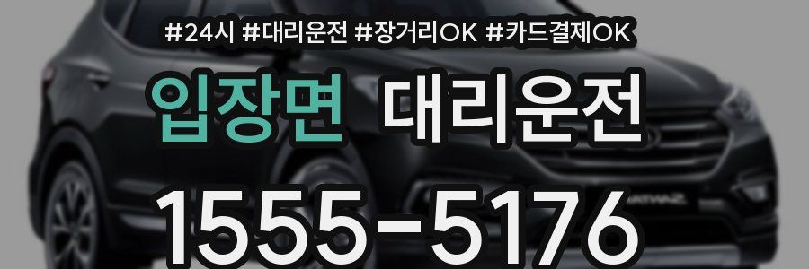 입장면 대리운전