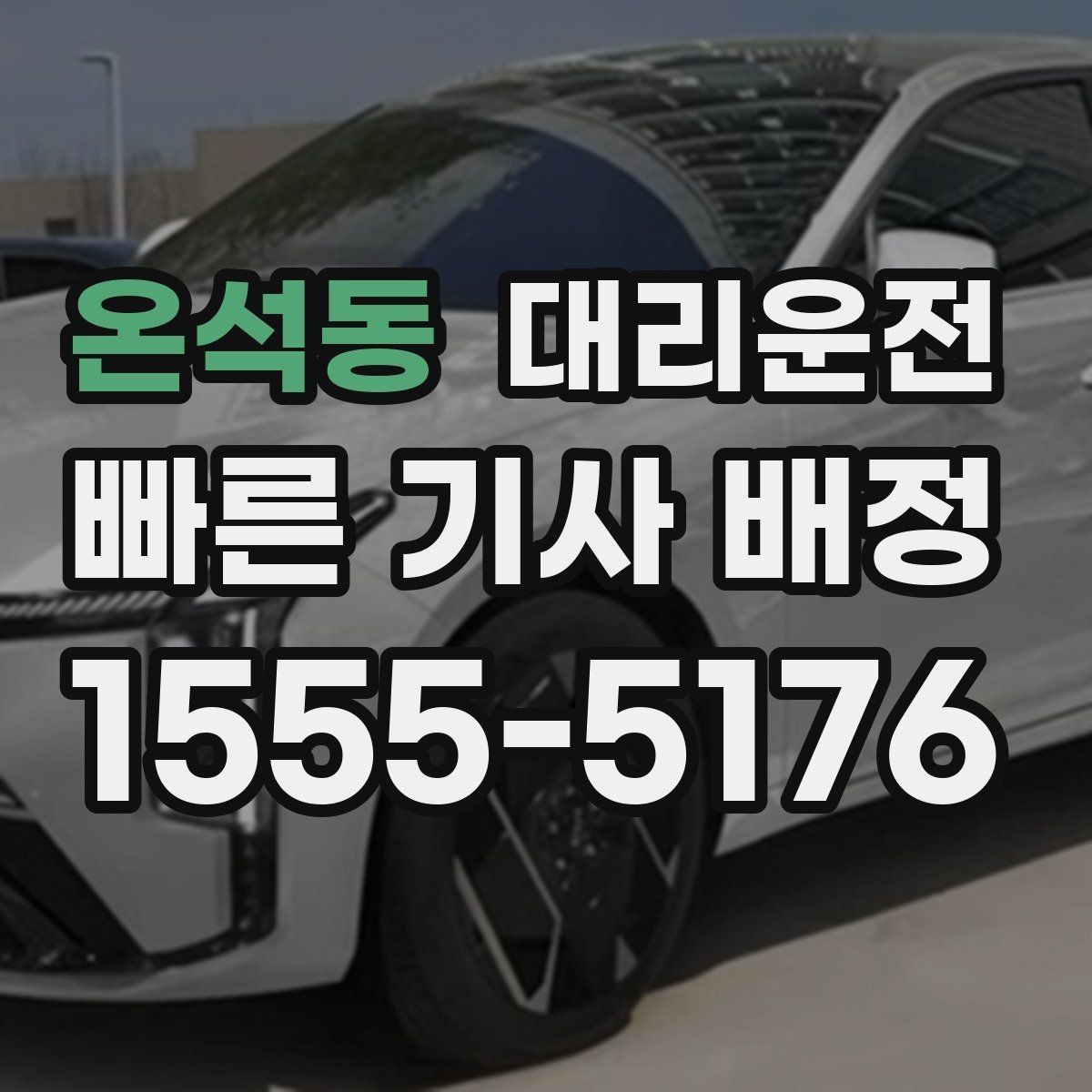 온석동 대리운전 반려동물 동반 시 주의사항