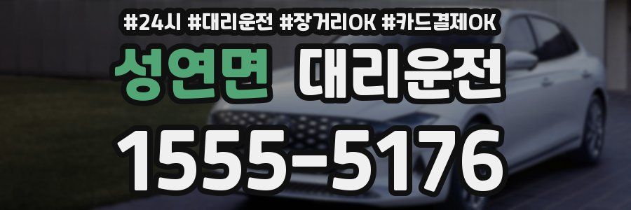 성연면 대리운전