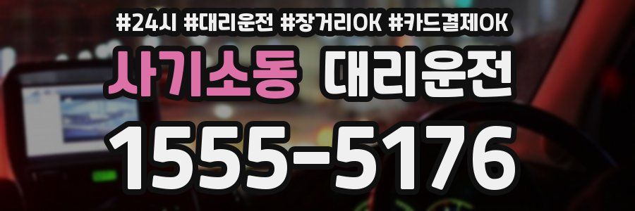 사기소동 대리운전