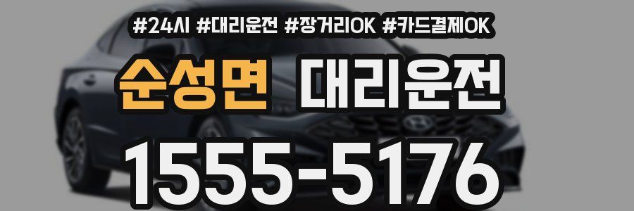 순성면 대리운전