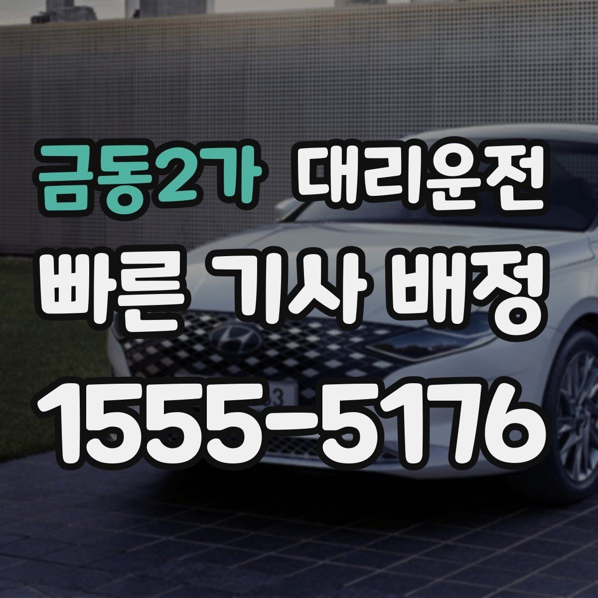 금동2가 대리운전 반려동물 이동 시 안전 벨트 안내