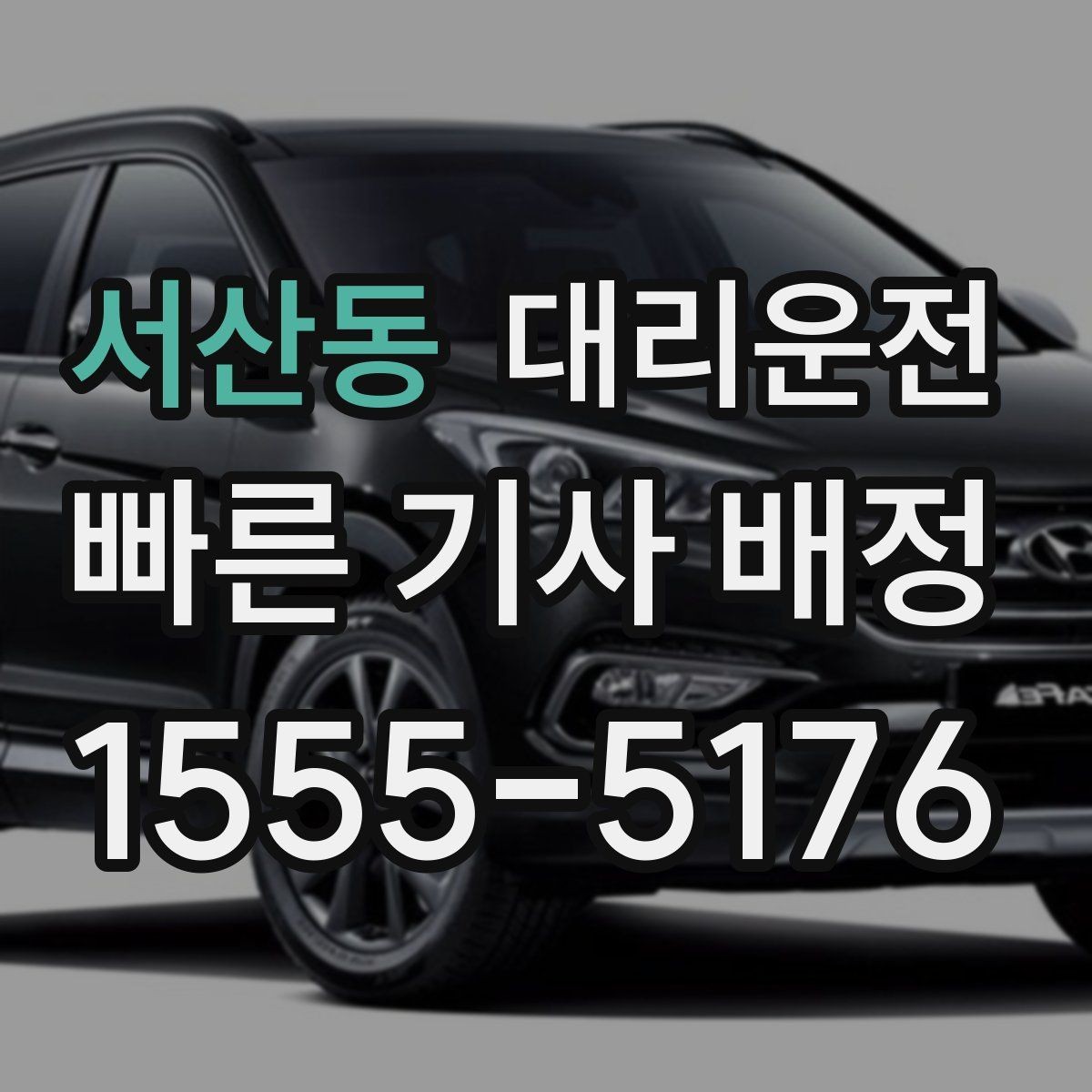 서산동 대리운전 반려동물 동반 시 주의사항