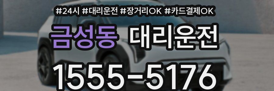 금성동 대리운전