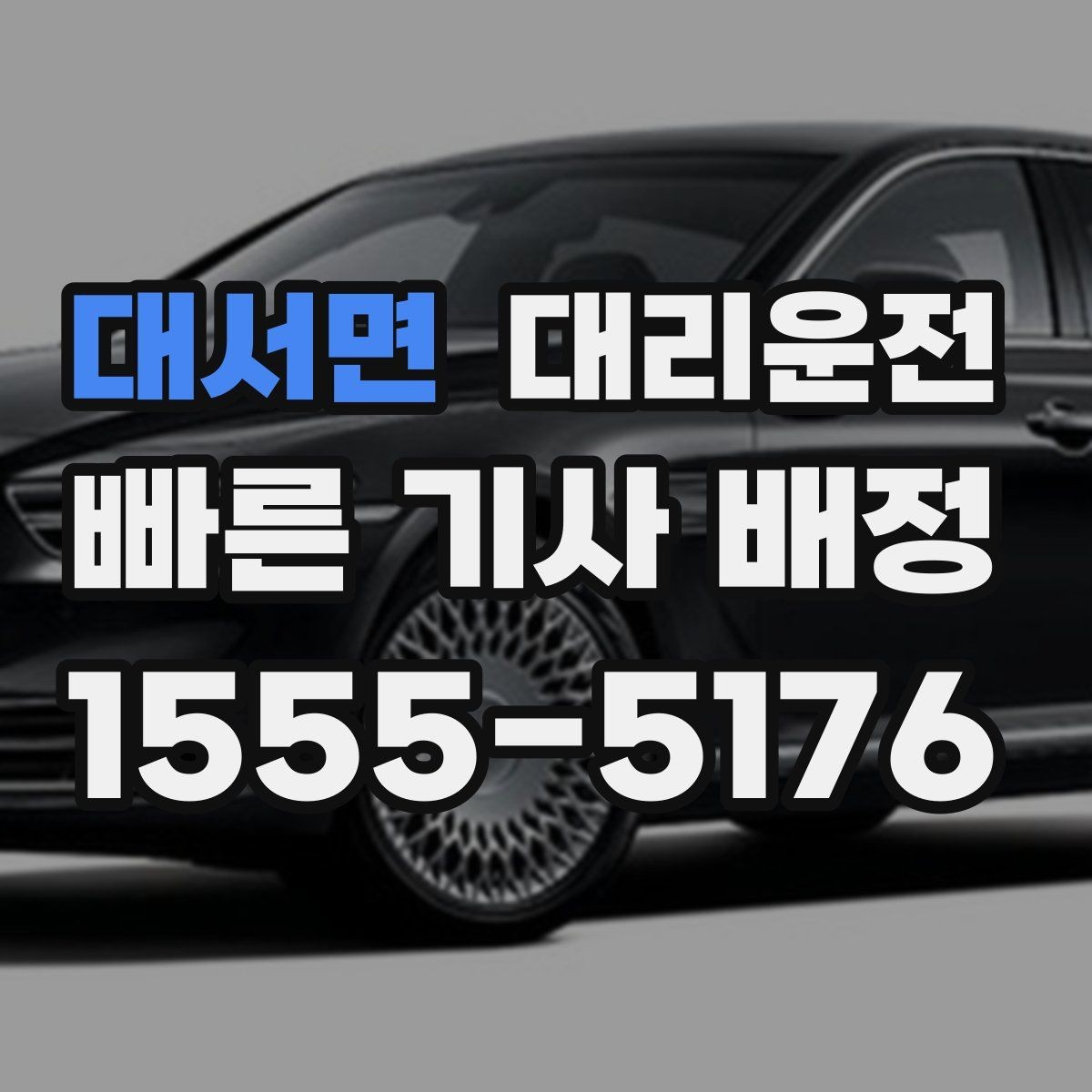 대서면 대리운전 반려동물 케이지 안내 사항