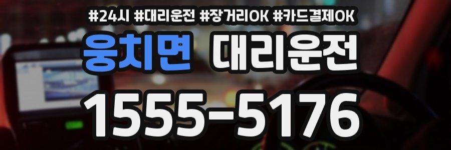 웅치면 대리운전