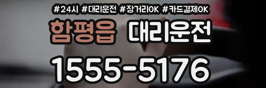 함평읍 대리운전