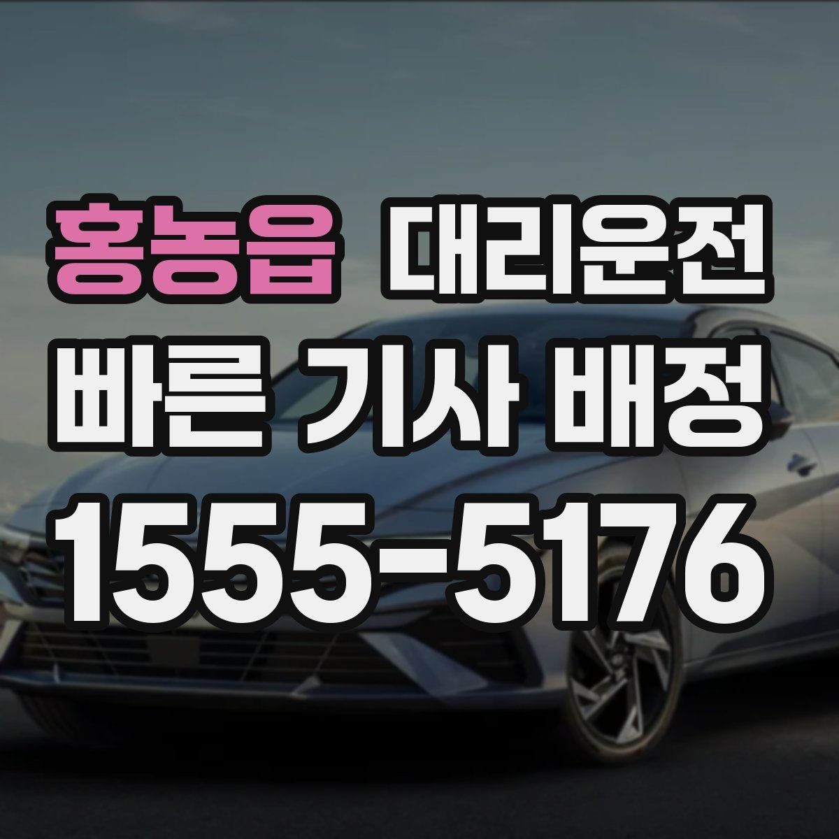 홍농읍 대리운전 반나절 종일 일정 일일기사 안내