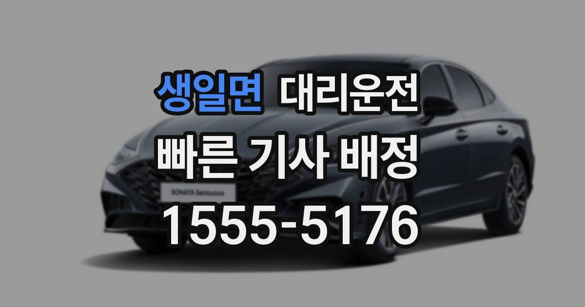 일일대리기사