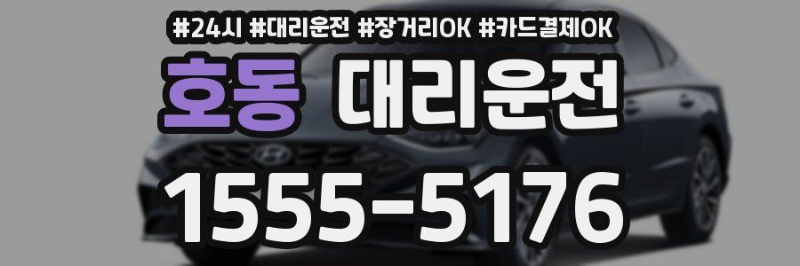 호동 대리운전
