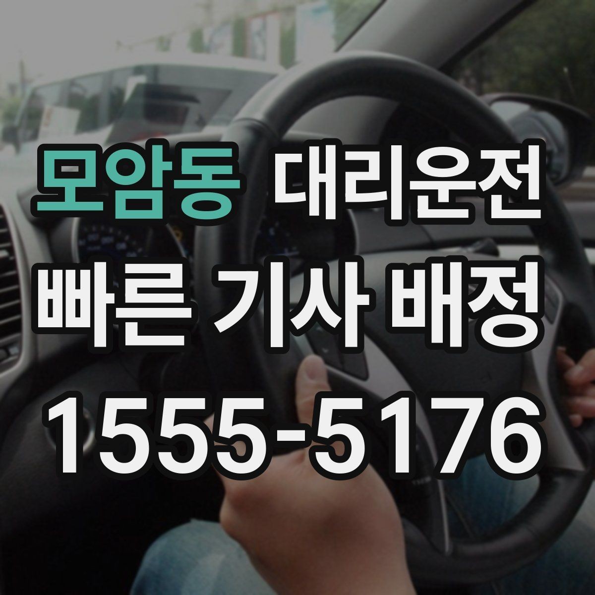 모암동 대리운전 반려동물 동반 시 주의사항