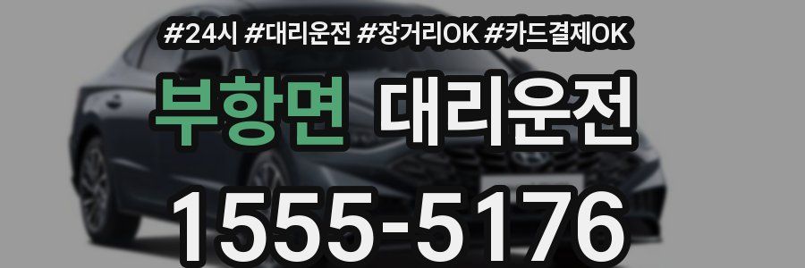 부항면 대리운전