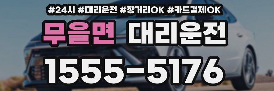 무을면 대리운전