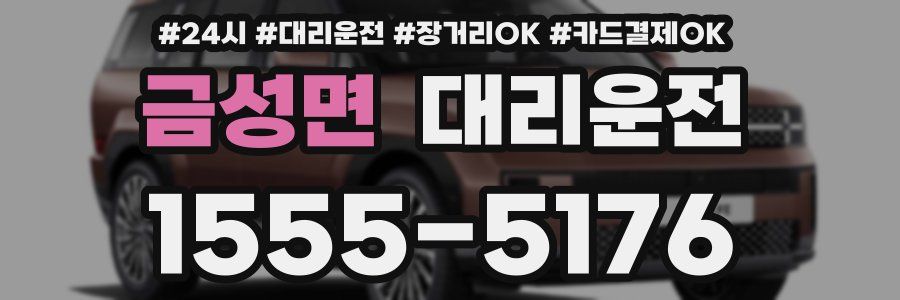 금성면 대리운전