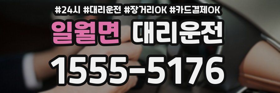 일월면 대리운전