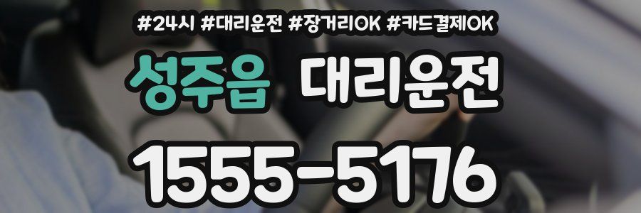 성주읍 대리운전
