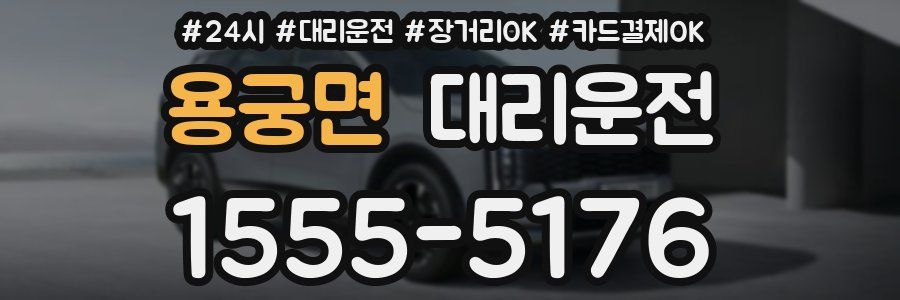 용궁면 대리운전