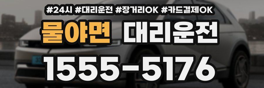 물야면 대리운전