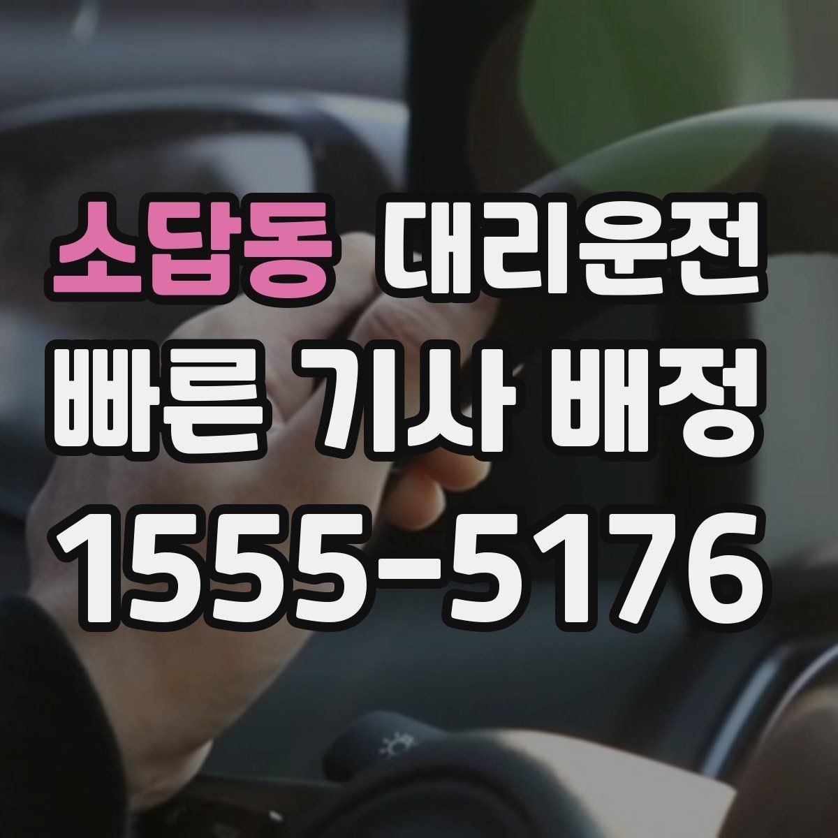 소답동 대리운전 반려동물 케이지 안내 사항