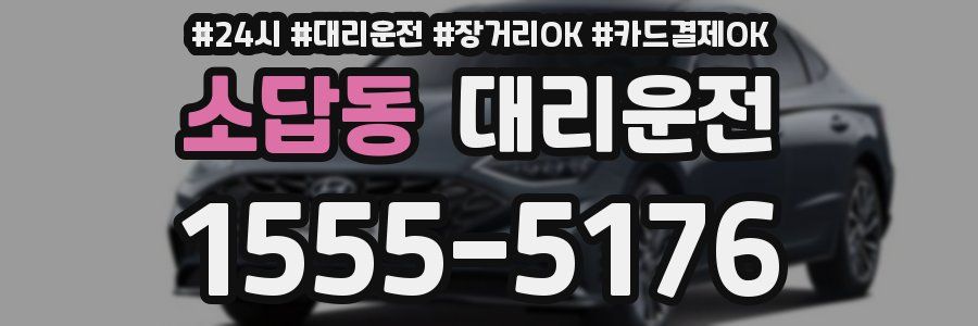 소답동 대리운전