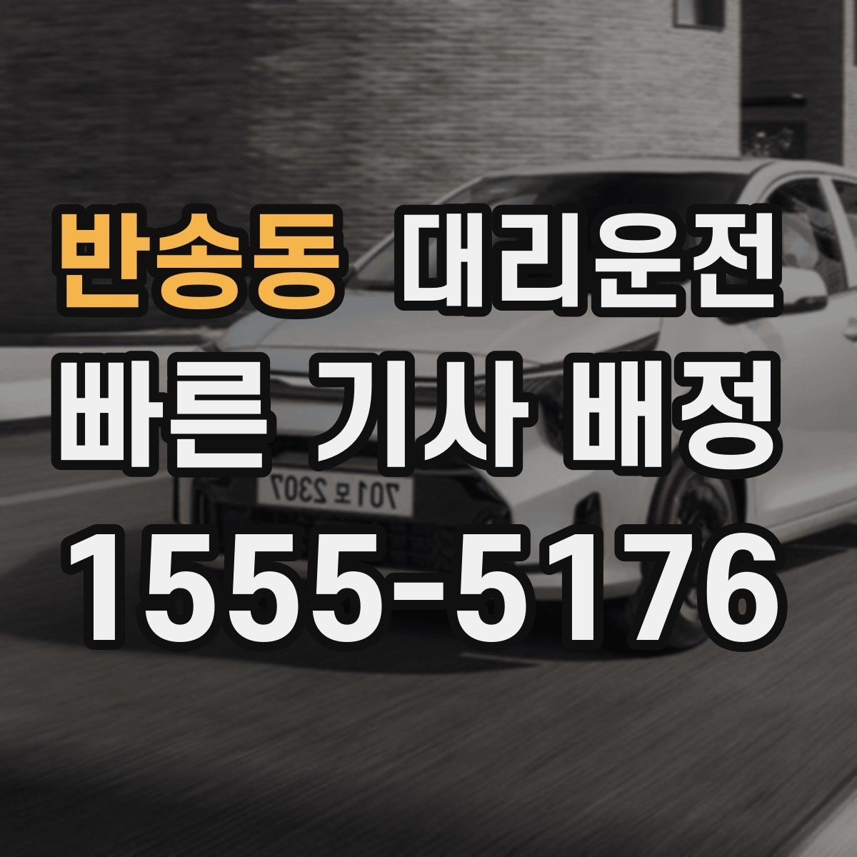 반송동 대리운전 반려동물 이동 시 안전 벨트 안내