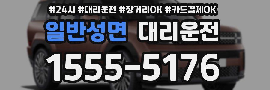 일반성면 대리운전