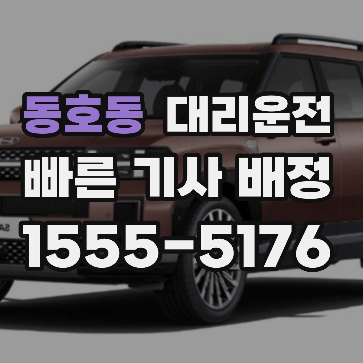 동호동 대리운전 기사 배정 전 차량 정보 확인