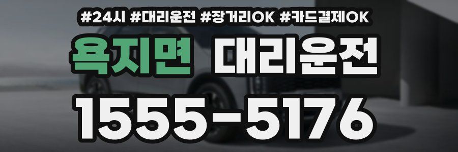 욕지면 대리운전