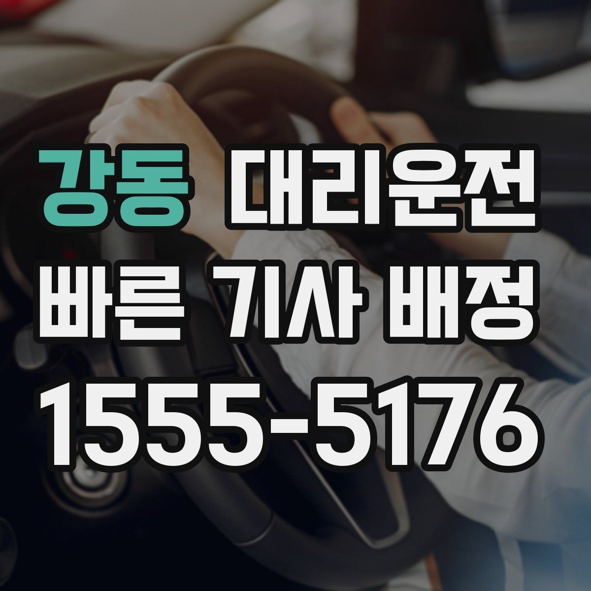 강동 대리운전 반려동물 동승 시 안전하게 케어