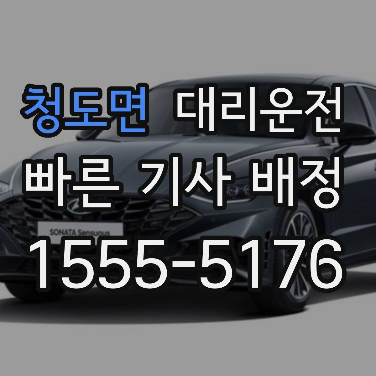 청도면 대리운전 반려동물 이동 시 안전 벨트 안내