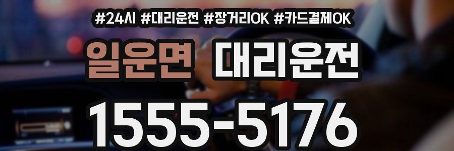 일운면 대리운전