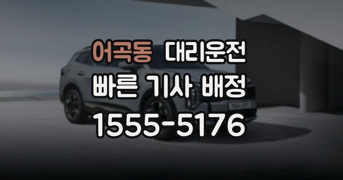 일일대리기사