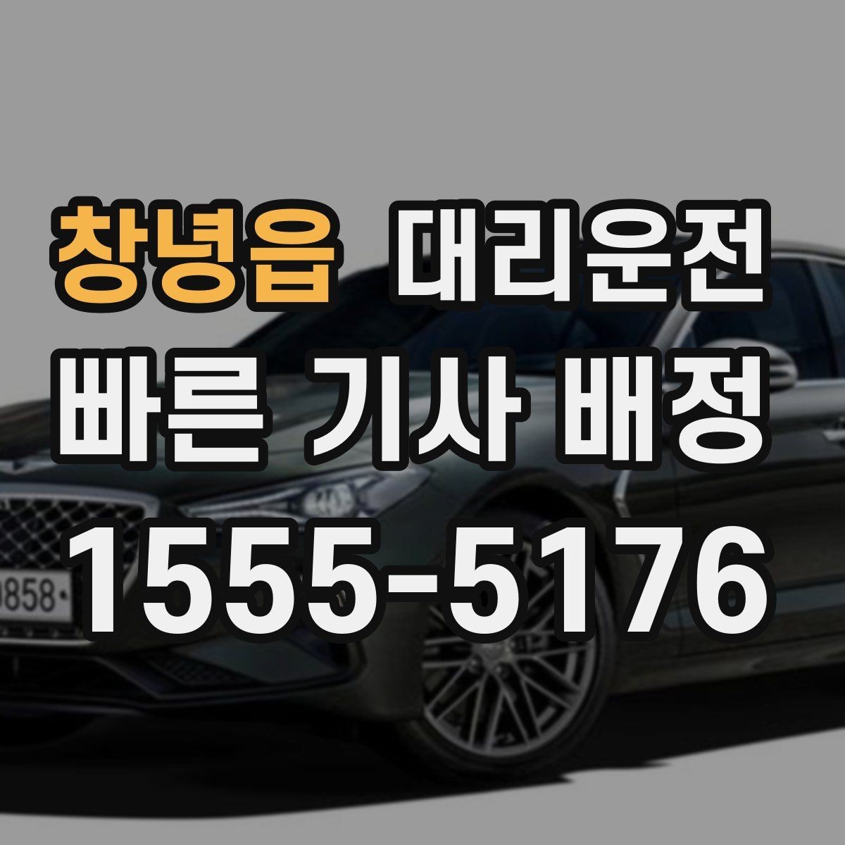 창녕읍 대리운전 반려동물 케이지 안내