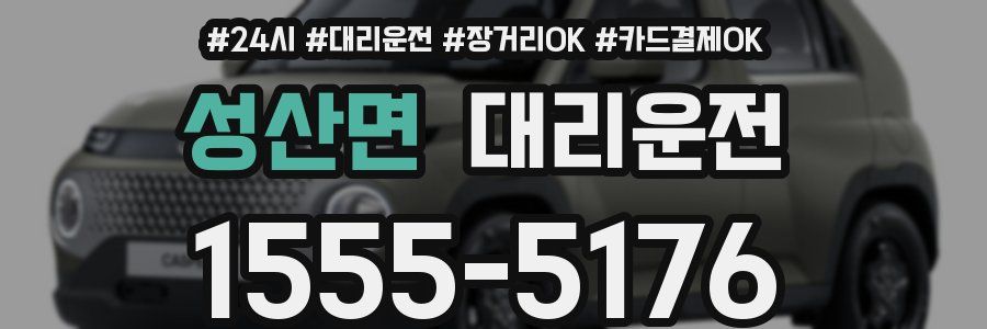 성산면 대리운전