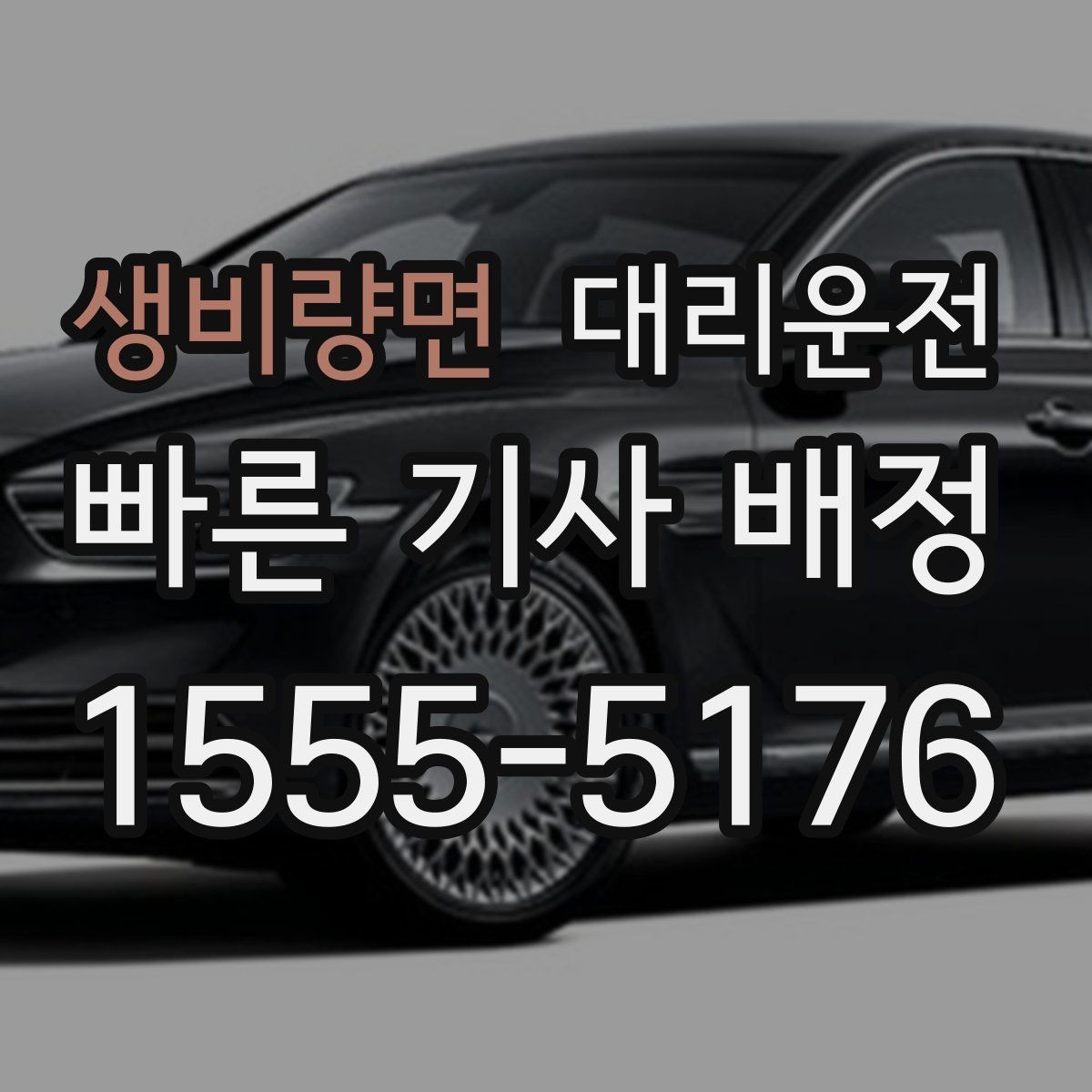 생비량면 대리운전 일일기사 공항 미팅 순회 동행