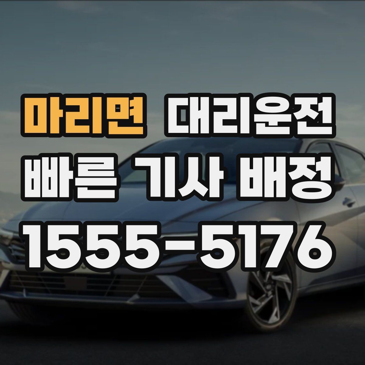 마리면 대리운전 반려동물 이동 시 안전 벨트 안내