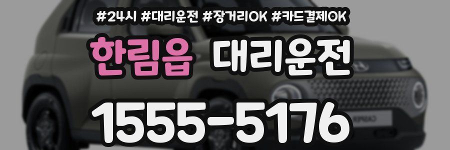 한림읍 대리운전