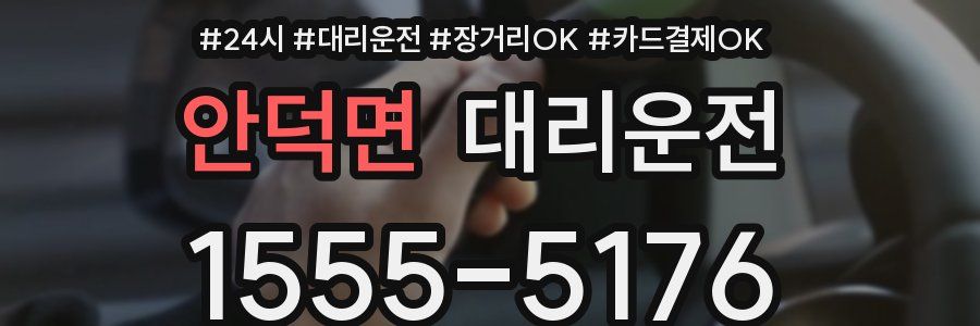 안덕면 대리운전