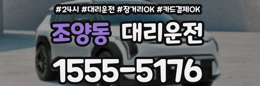 조양동 대리운전