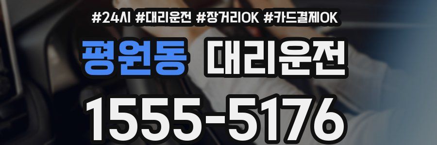 평원동 대리운전