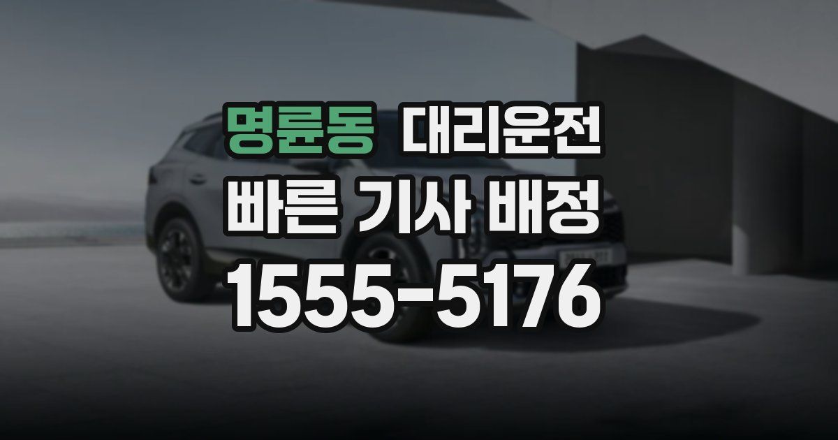 일일대리기사