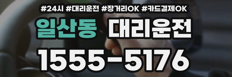 일산동 대리운전