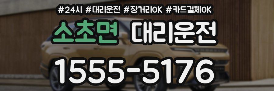 소초면 대리운전