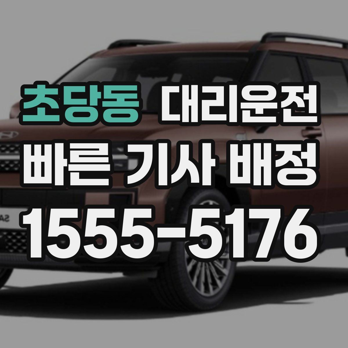 초당동 대리운전 반려동물 동반 배려 운행