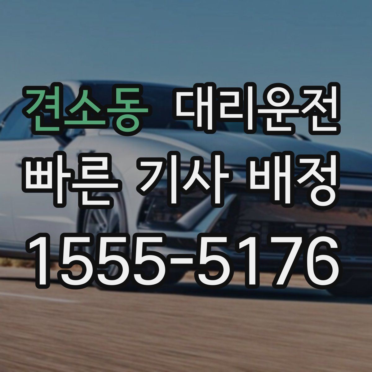 견소동 대리운전 반려동물 동반 배려 운행