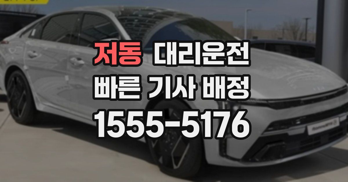 일일대리기사